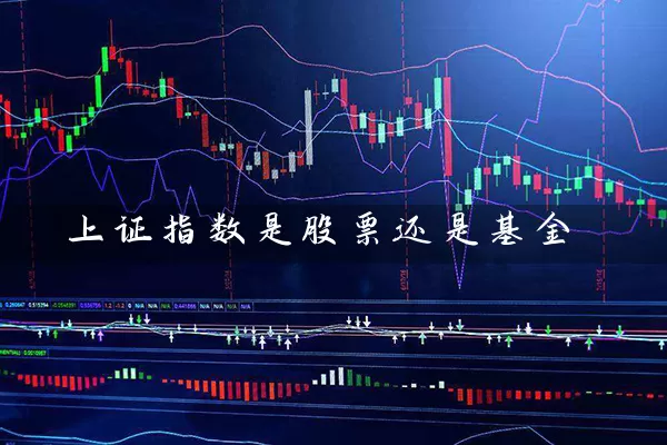 上证指数是股票还是基金 (https://www.cnq.net/) 基金基础教程 第1张