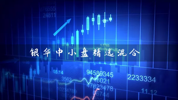 银华中小盘精选混合 (https://www.cnq.net/) 基金基础教程 第1张