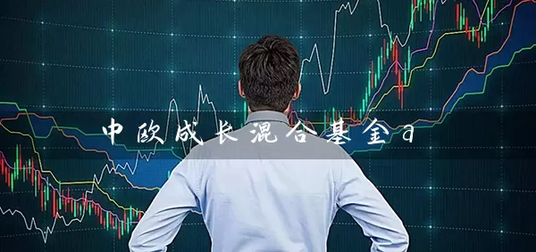 中欧成长混合基金a 基金基础教程 第1张-学习理财网 中欧成长混合基金a (https://www.cnq.net/) 基金基础教程 第1张