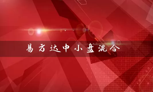 易方达中小盘混合 (https://www.cnq.net/) 基金基础教程 第1张