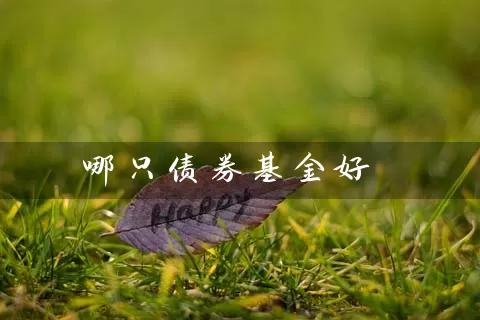 哪只债券基金好 基金基础教程 第1张-学习理财网 哪只债券基金好 (https://www.cnq.net/) 基金基础教程 第1张