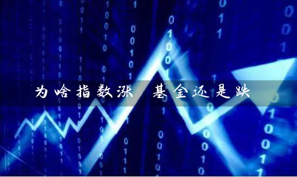 为啥指数涨 基金还是跌 基金基础教程 第1张-学习理财网 为啥指数涨 基金还是跌 (https://www.cnq.net/) 基金基础教程 第1张
