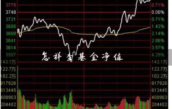 怎样查基金净值 (https://www.cnq.net/) 基金基础教程 第1张