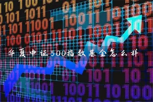 华夏中证500指数基金怎么样 (https://www.cnq.net/) 基金基础教程 第1张