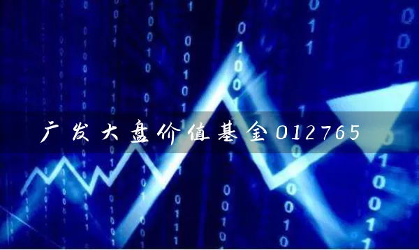 广发大盘价值基金012765 基金基础教程 第1张-学习理财网 广发大盘价值基金012765 (https://www.cnq.net/) 基金基础教程 第1张
