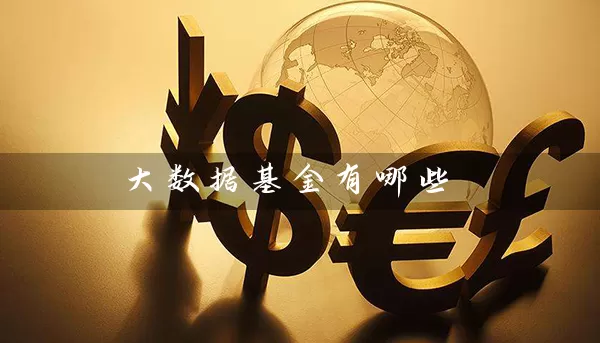 大数据基金有哪些 (https://www.cnq.net/) 基金基础教程 第1张