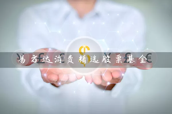 易方达消费精选股票基金 (https://www.cnq.net/) 基金基础教程 第1张