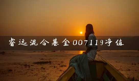 睿远混合基金007119净值 (https://www.cnq.net/) 基金基础教程 第1张