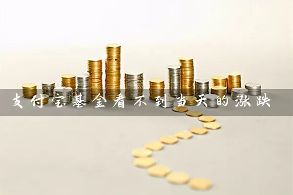 支付宝基金看不到当天的涨跌 (https://www.cnq.net/) 基金基础教程 第1张
