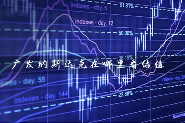 广发纳斯达克在哪里看估值 基金基础教程 第1张-学习理财网 广发纳斯达克在哪里看估值 (https://www.cnq.net/) 基金基础教程 第1张