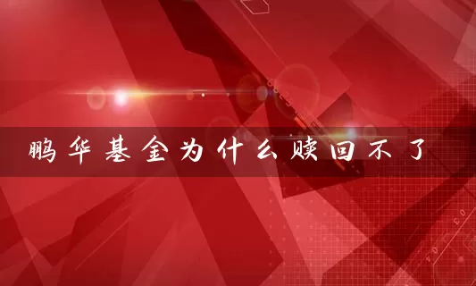 鹏华基金为什么赎回不了 (https://www.cnq.net/) 基金基础教程 第1张
