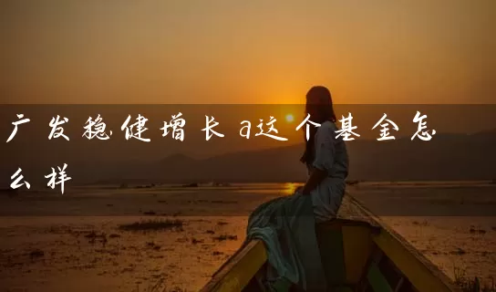 广发稳健增长a这个基金怎么样 (https://www.cnq.net/) 基金基础教程 第1张