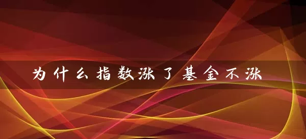 为什么指数涨了基金不涨 (https://www.cnq.net/) 基金基础教程 第1张