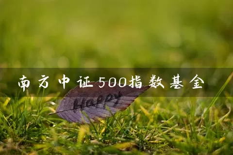 南方中证500指数基金 (https://www.cnq.net/) 基金基础教程 第1张