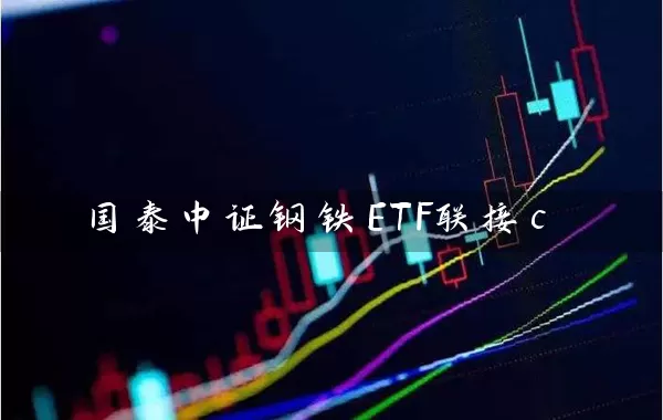 国泰中证钢铁ETF联接c (https://www.cnq.net/) 基金基础教程 第1张