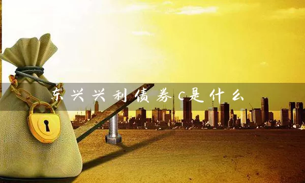 东兴兴利债券c是什么 (https://www.cnq.net/) 基金基础教程 第1张