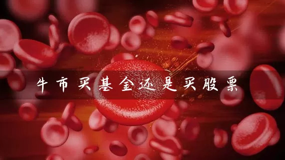 牛市买基金还是买股票 (https://www.cnq.net/) 基金基础教程 第1张