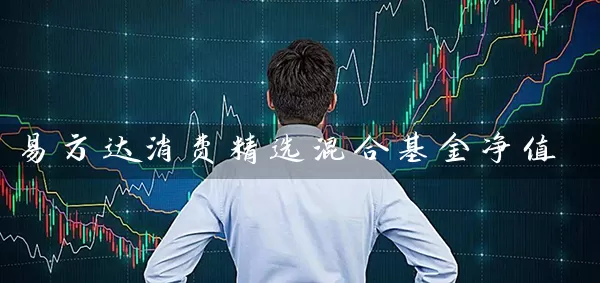 易方达消费精选混合基金净值 (https://www.cnq.net/) 基金基础教程 第1张