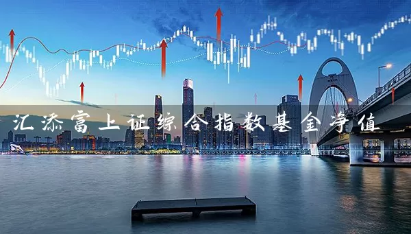 汇添富上证综合指数基金净值 (https://www.cnq.net/) 基金基础教程 第1张