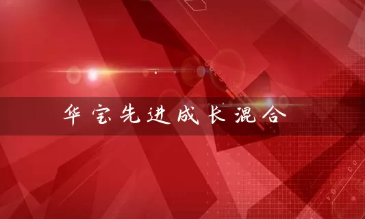 华宝先进成长混合 (https://www.cnq.net/) 基金基础教程 第1张