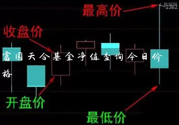 富国天合基金净值查询今日价格 (https://www.cnq.net/) 基金基础教程 第1张