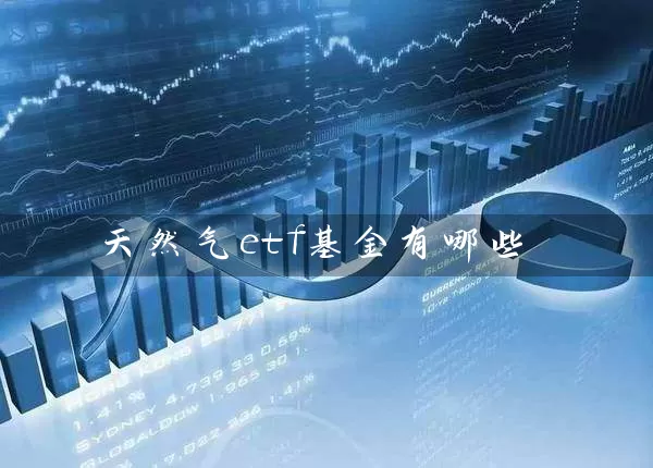 天然气etf基金有哪些 (https://www.cnq.net/) 基金基础教程 第1张