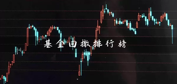 基金回撤排行榜 (https://www.cnq.net/) 基金基础教程 第1张
