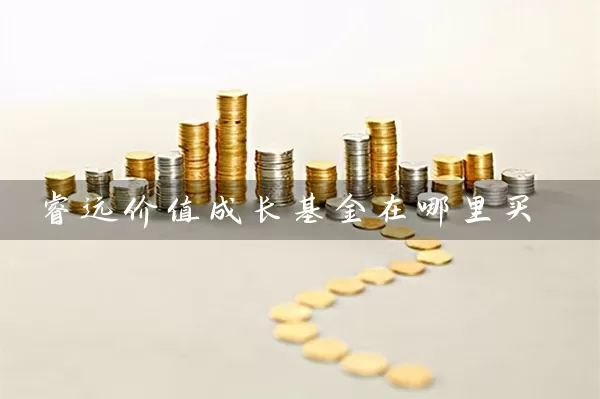 睿远价值成长基金在哪里买 (https://www.cnq.net/) 基金基础教程 第1张