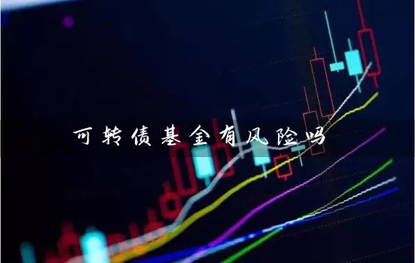 可转债基金有风险吗 (https://www.cnq.net/) 基金基础教程 第1张