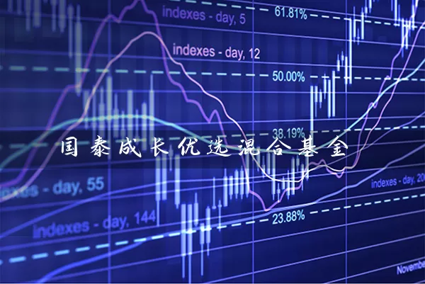 国泰成长优选混合基金 (https://www.cnq.net/) 基金基础教程 第1张