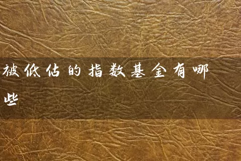 被低估的指数基金有哪些 (https://www.cnq.net/) 基金基础教程 第1张