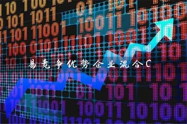 易竞争优势企业混合C (https://www.cnq.net/) 基金基础教程 第1张
