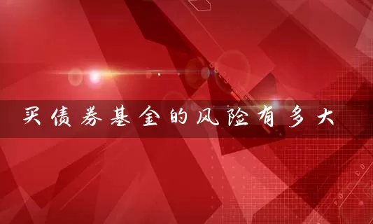 买债券基金的风险有多大 (https://www.cnq.net/) 基金基础教程 第1张
