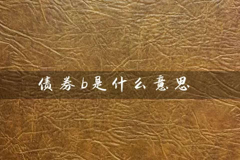 债券b是什么意思 (https://www.cnq.net/) 基金基础教程 第1张