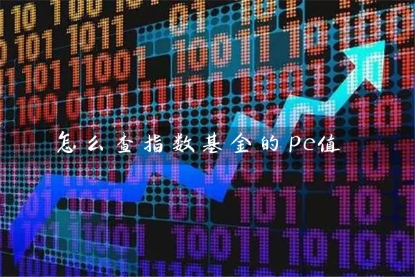 怎么查指数基金的pe值 (https://www.cnq.net/) 基金基础教程 第1张