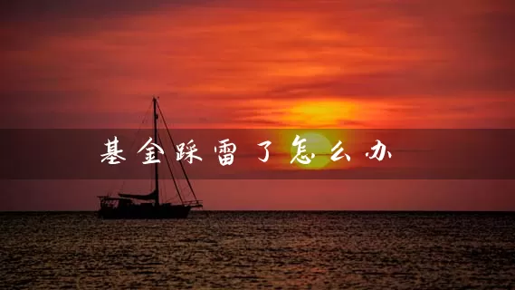 基金踩雷了怎么办 (https://www.cnq.net/) 基金基础教程 第1张