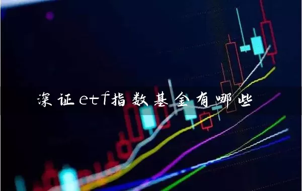 深证etf指数基金有哪些 (https://www.cnq.net/) 基金基础教程 第1张