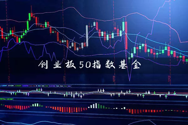 创业板50指数基金 (https://www.cnq.net/) 基金基础教程 第1张