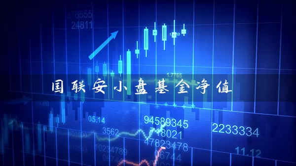 国联安小盘基金净值 (https://www.cnq.net/) 基金基础教程 第1张