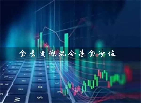 金鹰资源混合基金净值 (https://www.cnq.net/) 基金基础教程 第1张