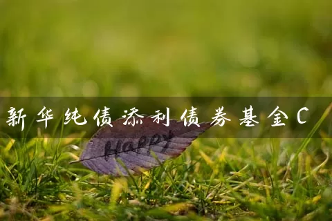 新华纯债添利债券基金C (https://www.cnq.net/) 基金基础教程 第1张
