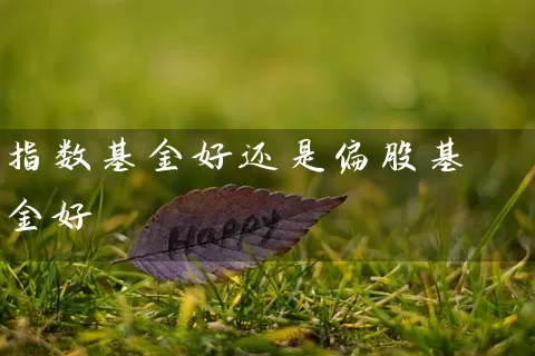 指数基金好还是偏股基金好 (https://www.cnq.net/) 基金基础教程 第1张