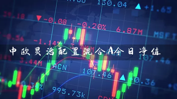 中欧灵活配置混合A今日净值 (https://www.cnq.net/) 基金基础教程 第1张