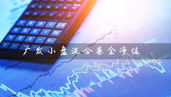 广发小盘混合基金净值 (https://www.cnq.net/) 基金基础教程 第1张