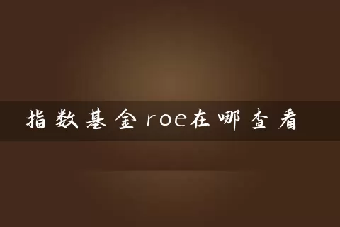 指数基金roe在哪查看 (https://www.cnq.net/) 基金基础教程 第1张