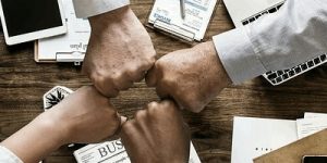 换手率很高为什么股价不上去 股票基本知识之一 (https://www.cnq.net/) 股票基础教程 第1张