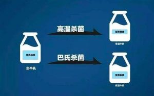 乳业板块龙头股有哪些？乳业板块股票一览表 (https://www.cnq.net/) 股票基础教程 第1张