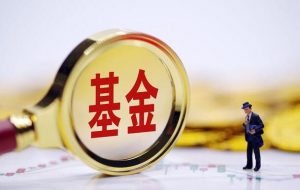 怎么选混合型基金? 股票基础教程 第1张-学习理财网 怎么选混合型基金? (https://www.cnq.net/) 股票基础教程 第1张