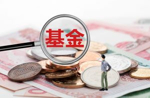基金组合投资策略怎么做？ (https://www.cnq.net/) 股票基础教程 第1张