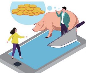 什么是杀猪盘？ (https://www.cnq.net/) 股票基础教程 第1张